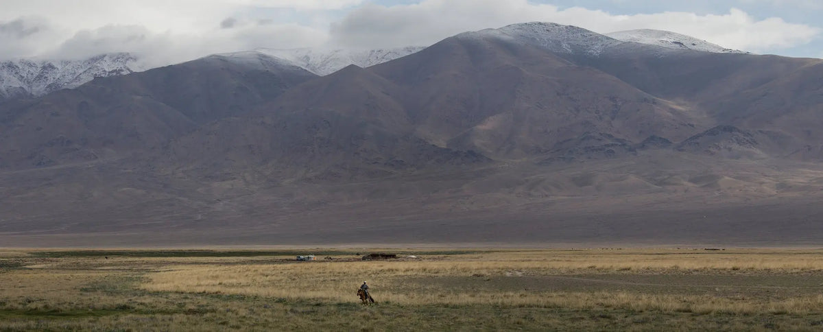 Mongolia_cashmere
